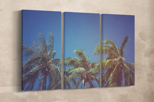 Leaves of Coconut Vintage Filter Tropical Wall Decor Canvas Print