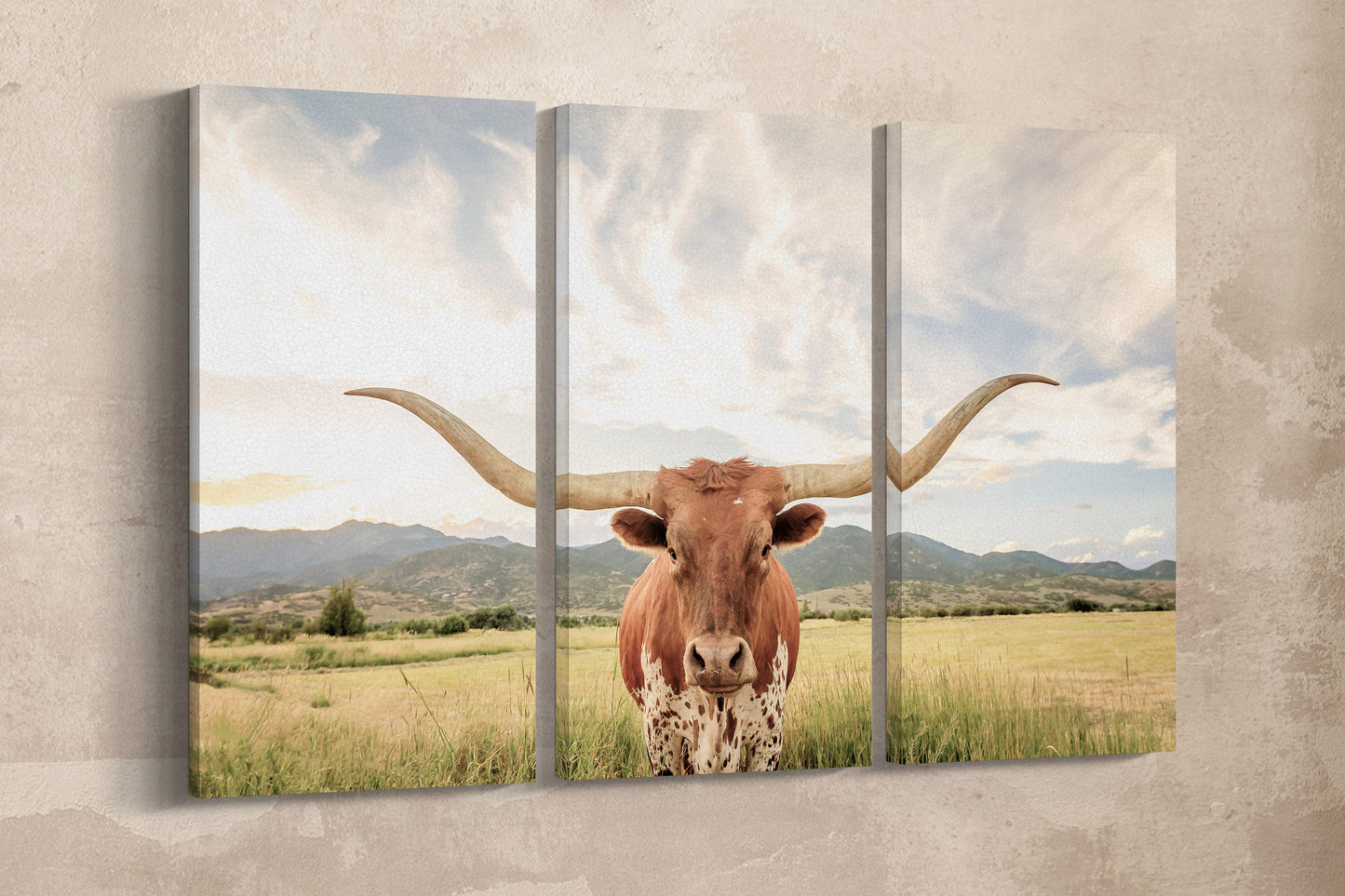 Texas Longhorn Steer Soft Tones Triptych Canvas Eco Leather Print Beige Wall