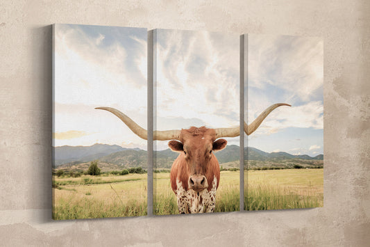 Texas Longhorn Steer Soft Tones Triptych Canvas Eco Leather Print Beige Wall