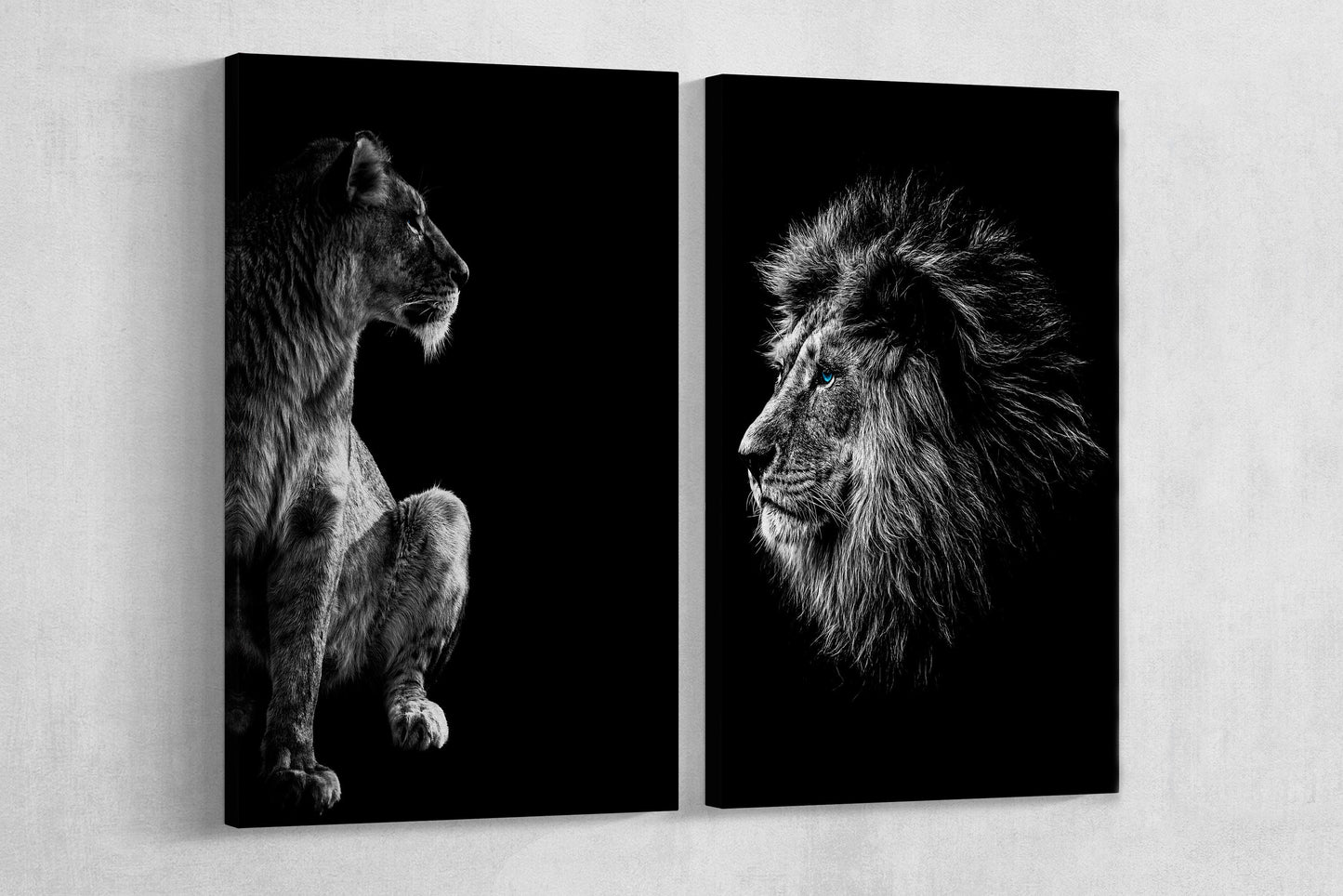 Blue Eyes Lion and Lioness Portrait Framed Canvas Print