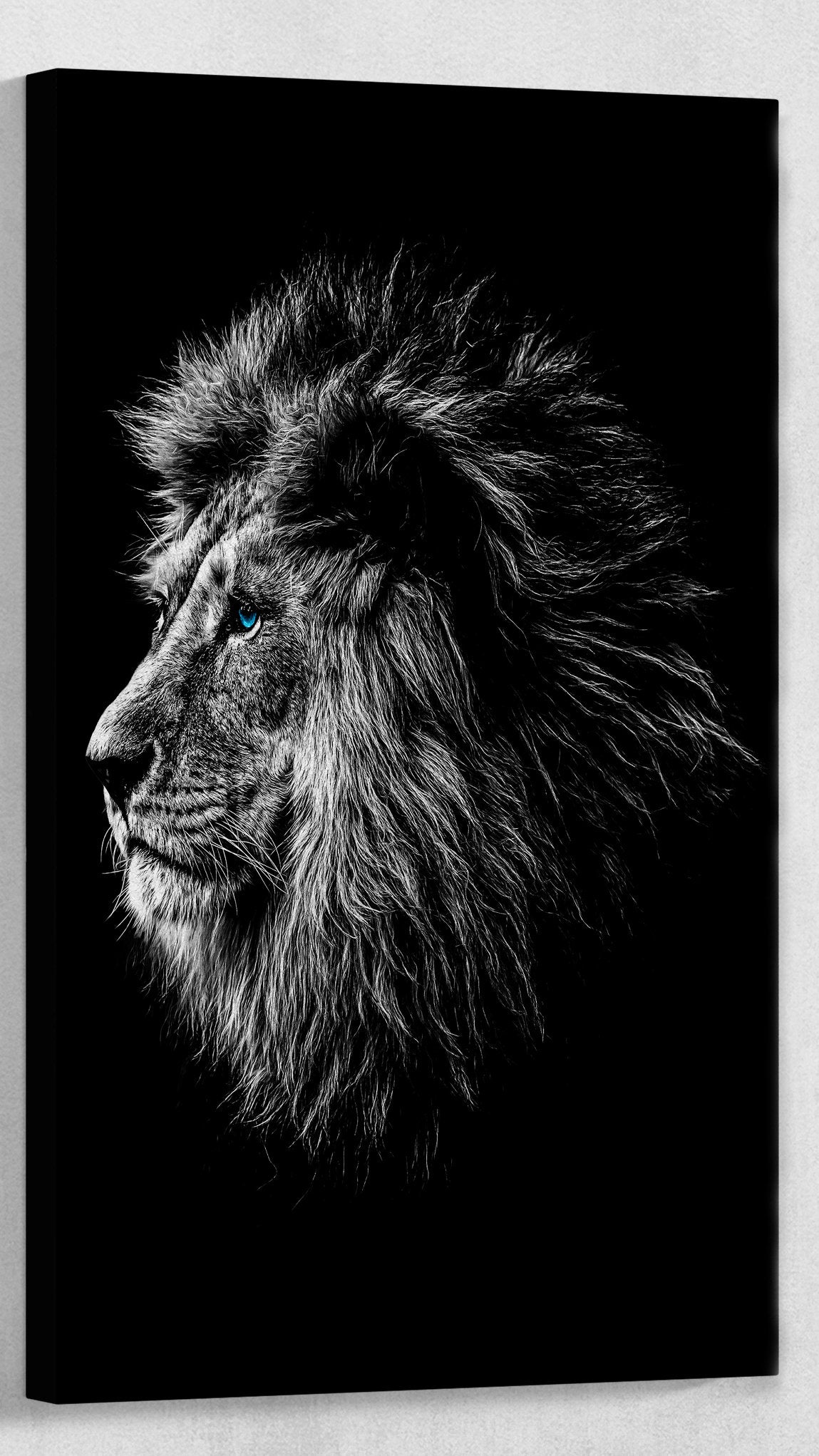 Blue Eyes Lion and Lioness Portrait Framed Canvas Print