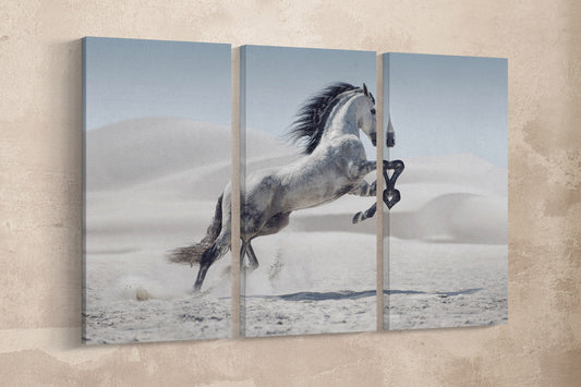 Wild white horse in dust framed canvas leather print