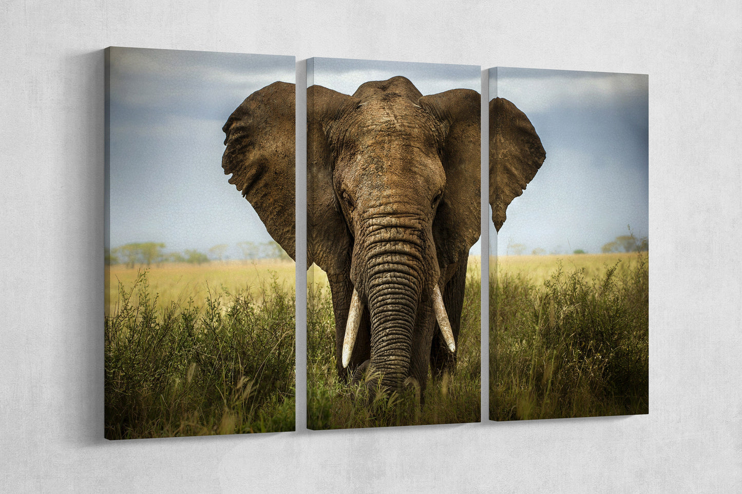 African Elephant Framed Canvas Leather Print