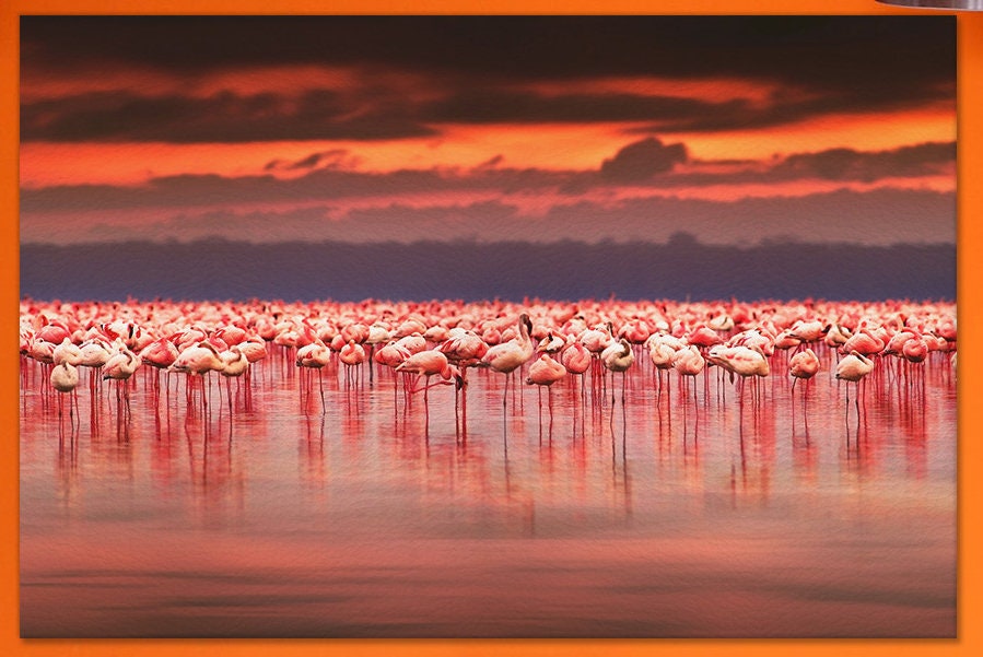 Flamingos at Sunset Framed Canvas Leather Print