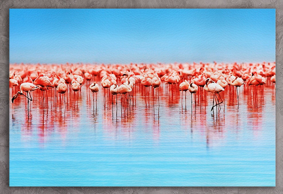 Flamingo in Lake Nakuru Framed Canvas Leather Print
