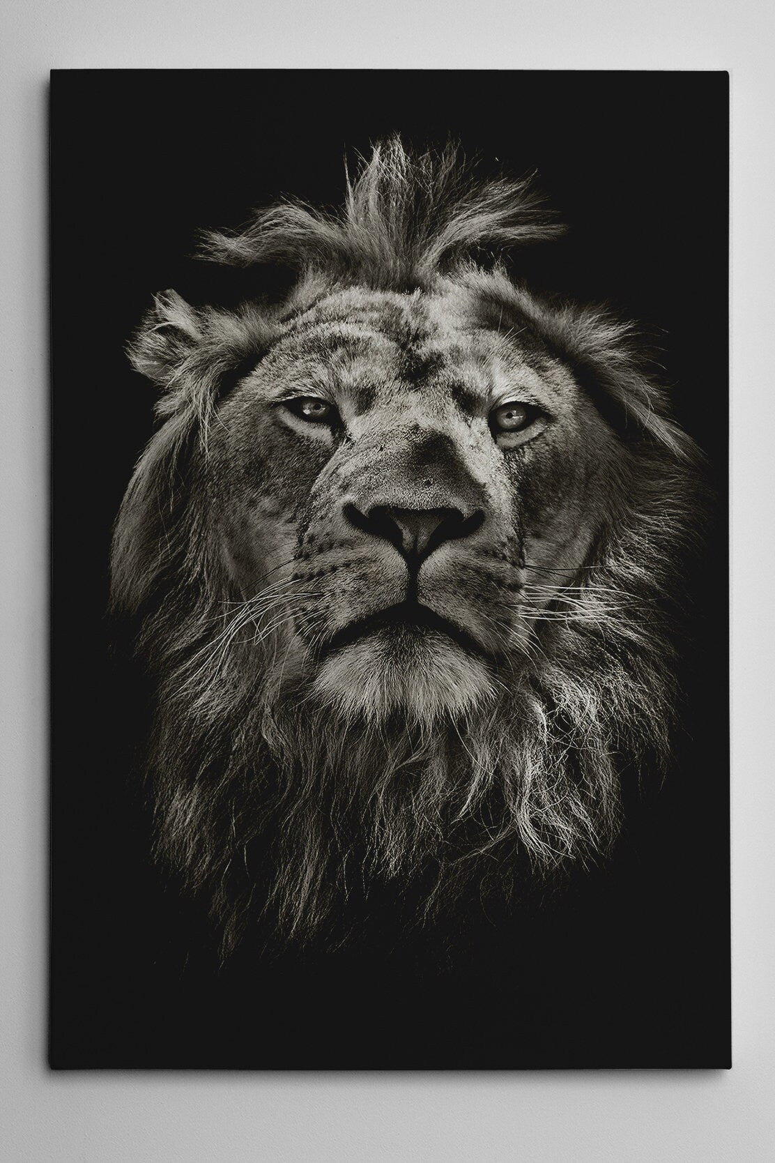 Lion Black&White Framed Canvas Eco Leather Print, Made in Italy!