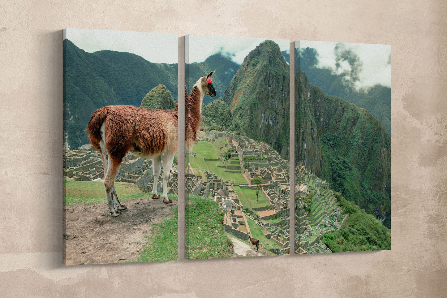 Machu Picchu Alpaca 3 Panel Framed Canvas Leather Print