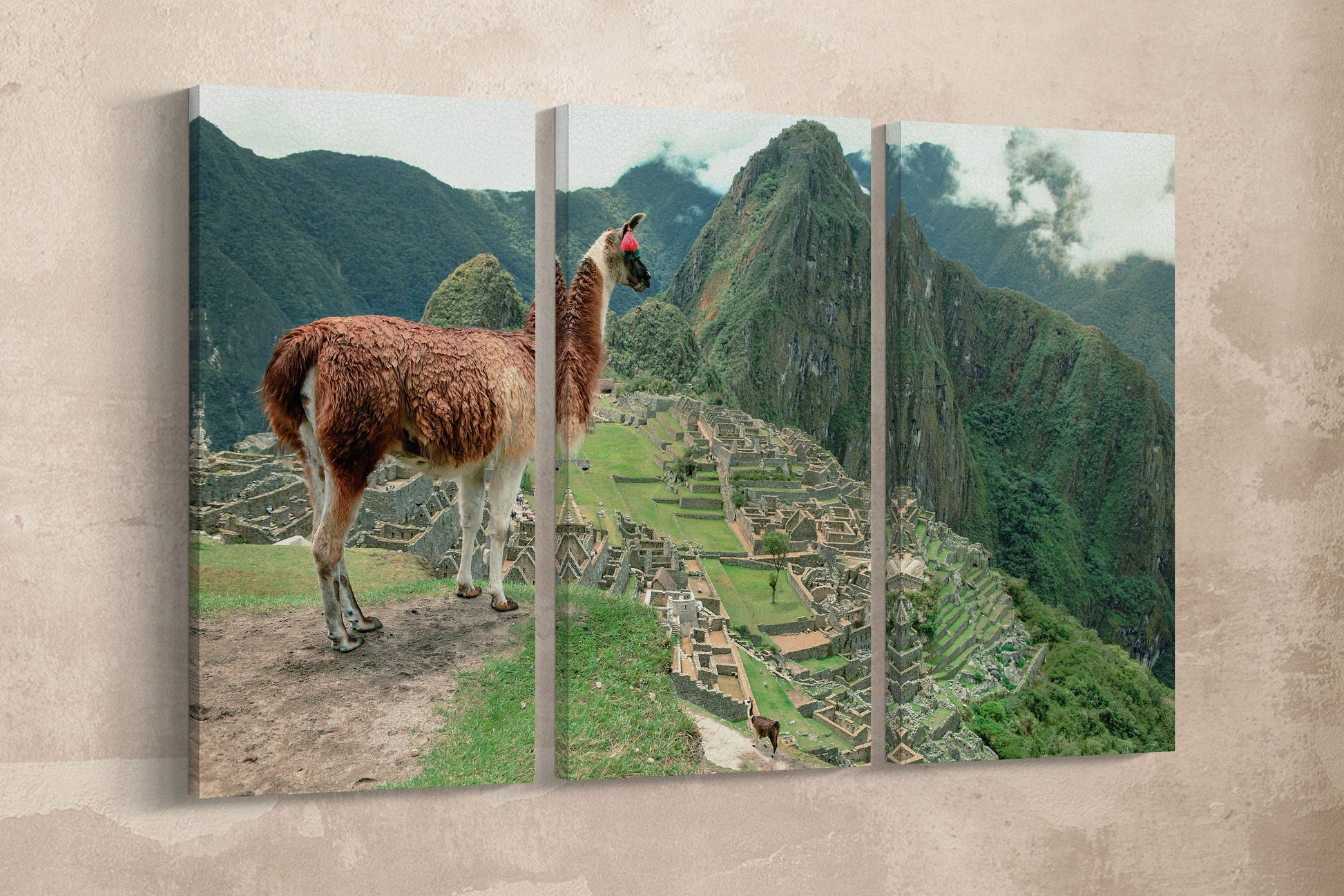 Machu Picchu Alpaca 3 Panel Framed Canvas Leather Print
