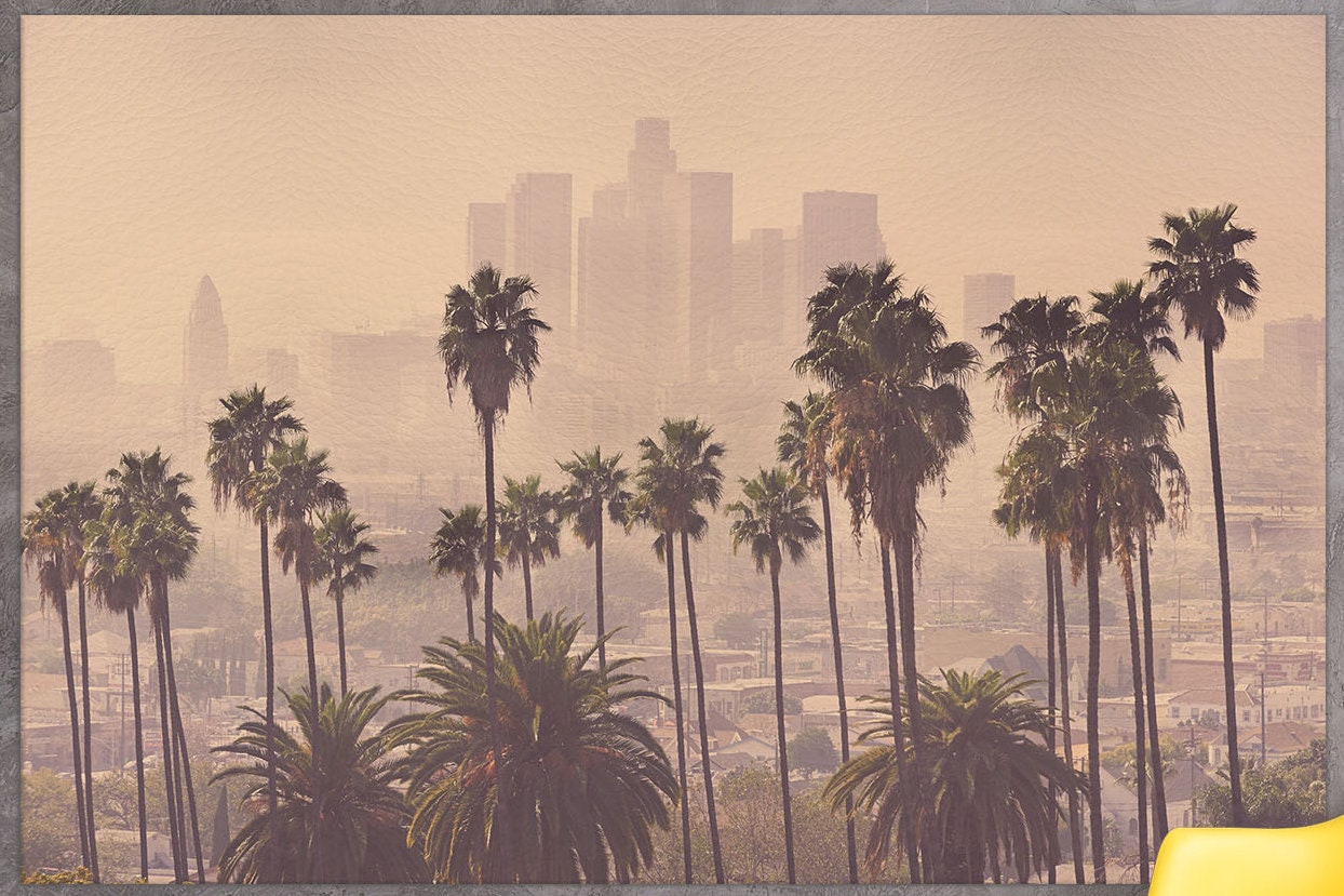 LA Palms Soft Tones Framed Canvas Leather Print