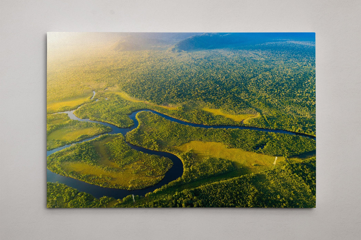 Manaus Amazon Rainforest Aerial View PETA Approved Eco Leather Canvas Multi Panel Art Frame