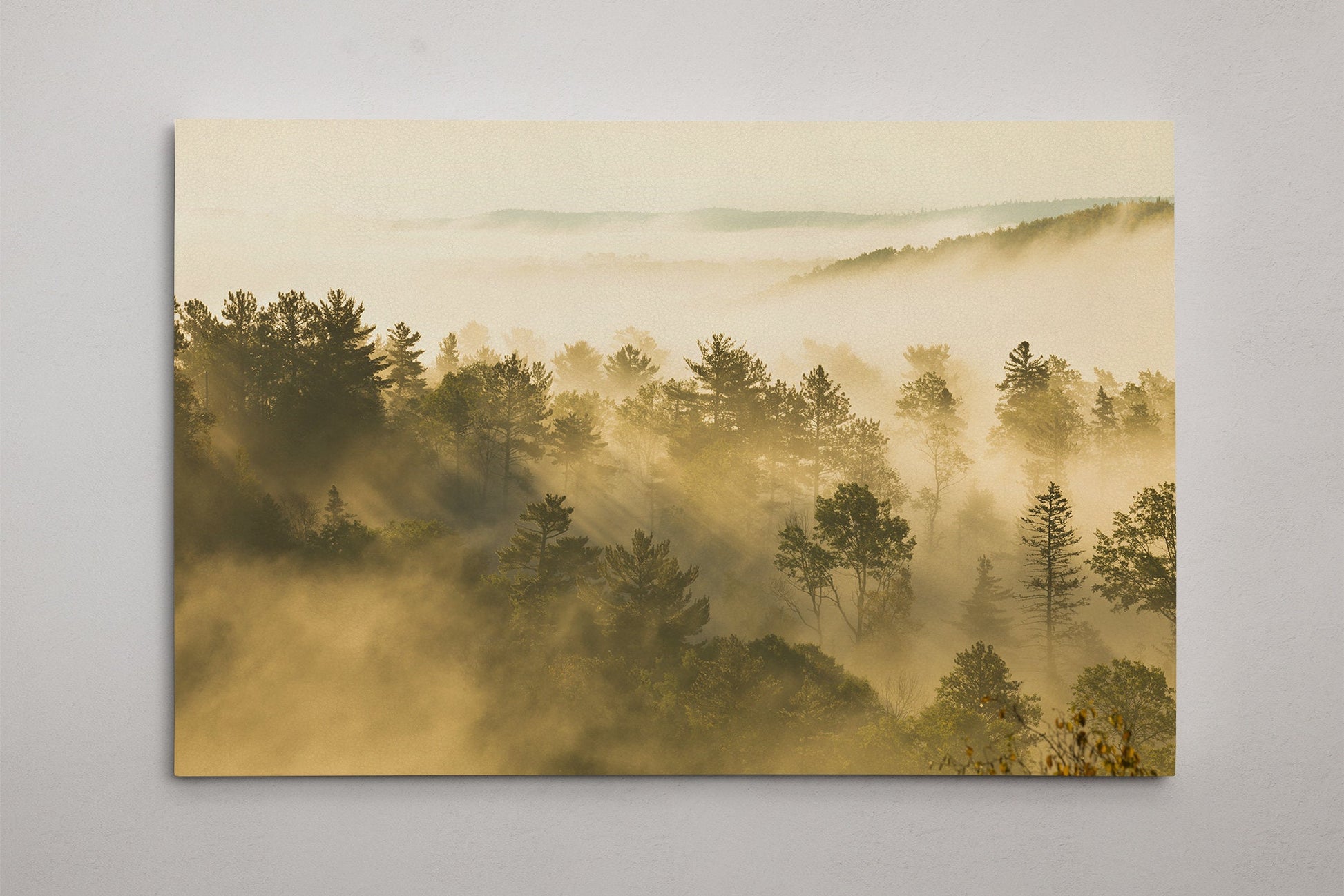 Aspen Foggy Landscape Wall Art Vegan Leather Canvas Print Ready to Hang