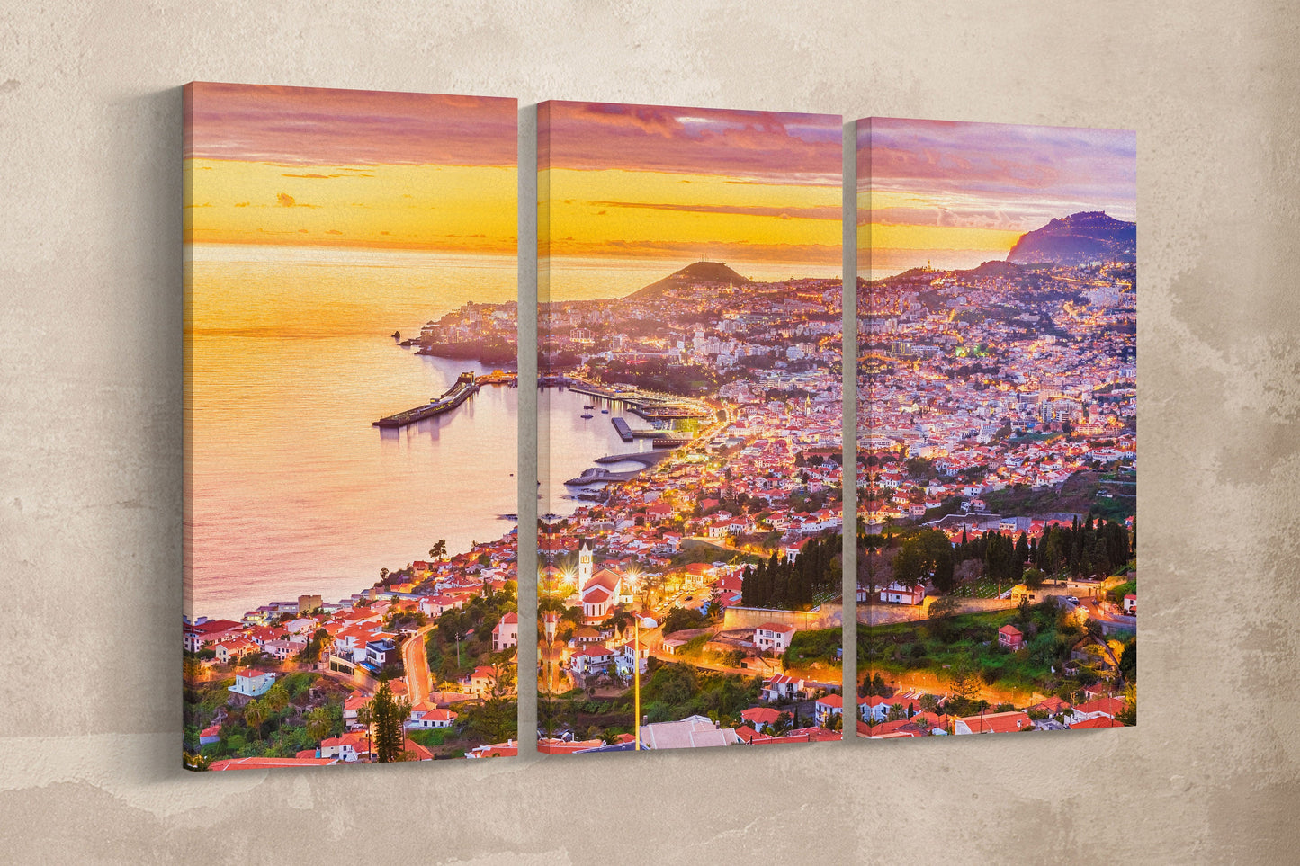 Funchal, Madeira framed canvas leather print