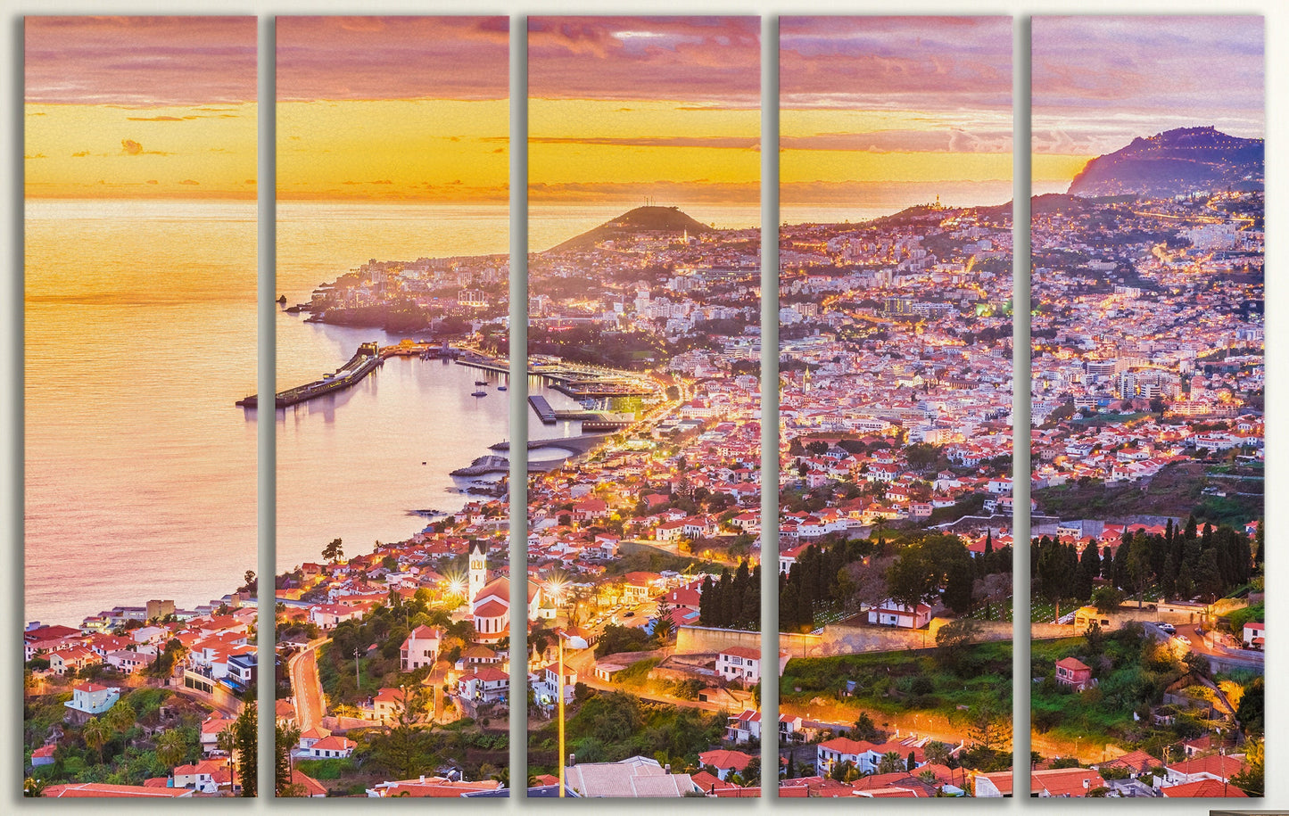 Funchal, Madeira framed canvas leather print