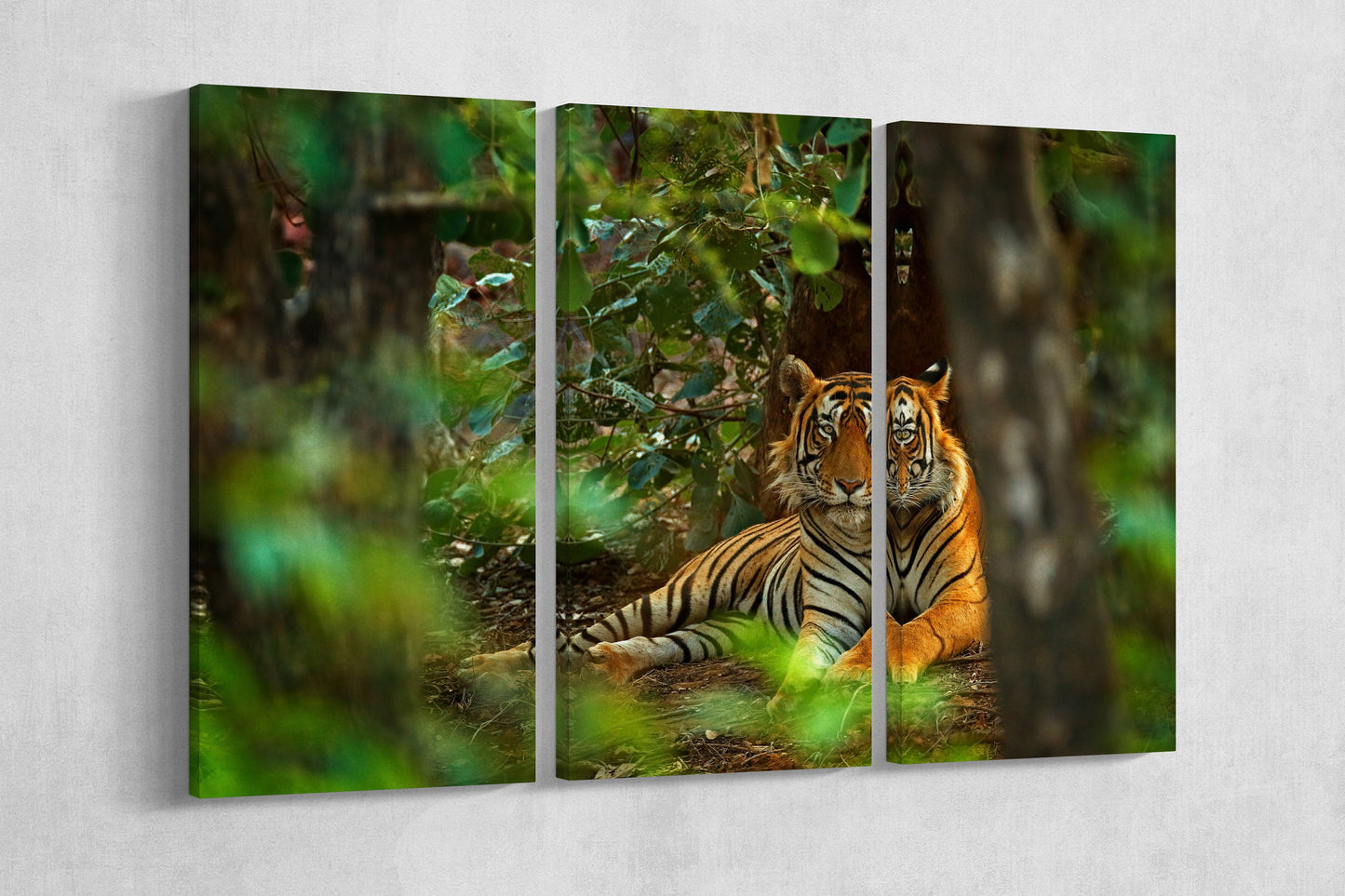 Regal Indian Tiger PETA Approved Faux Leather Canvas Wall Art
