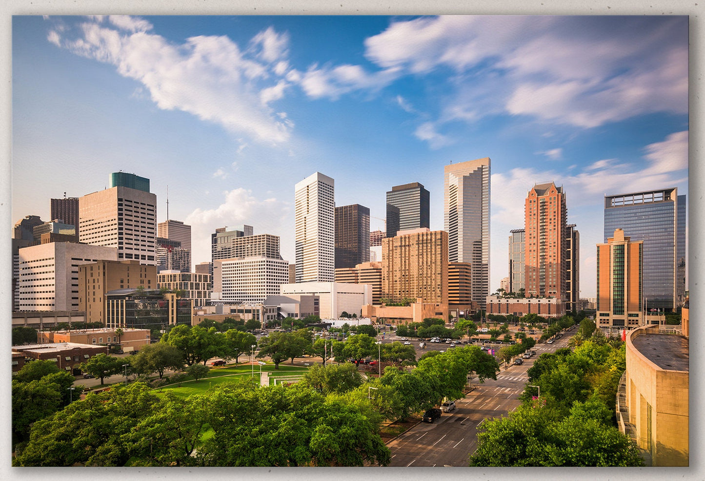 Houston, Texas Framed Canvas Leather Print