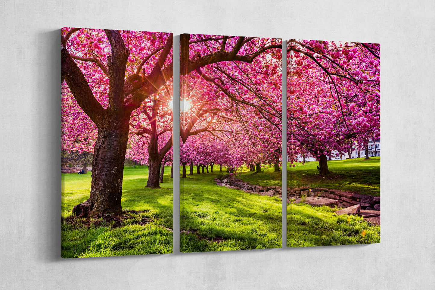 Cherry Tree Blossom Canvas Eco Leather Print Triptych Grey Wall