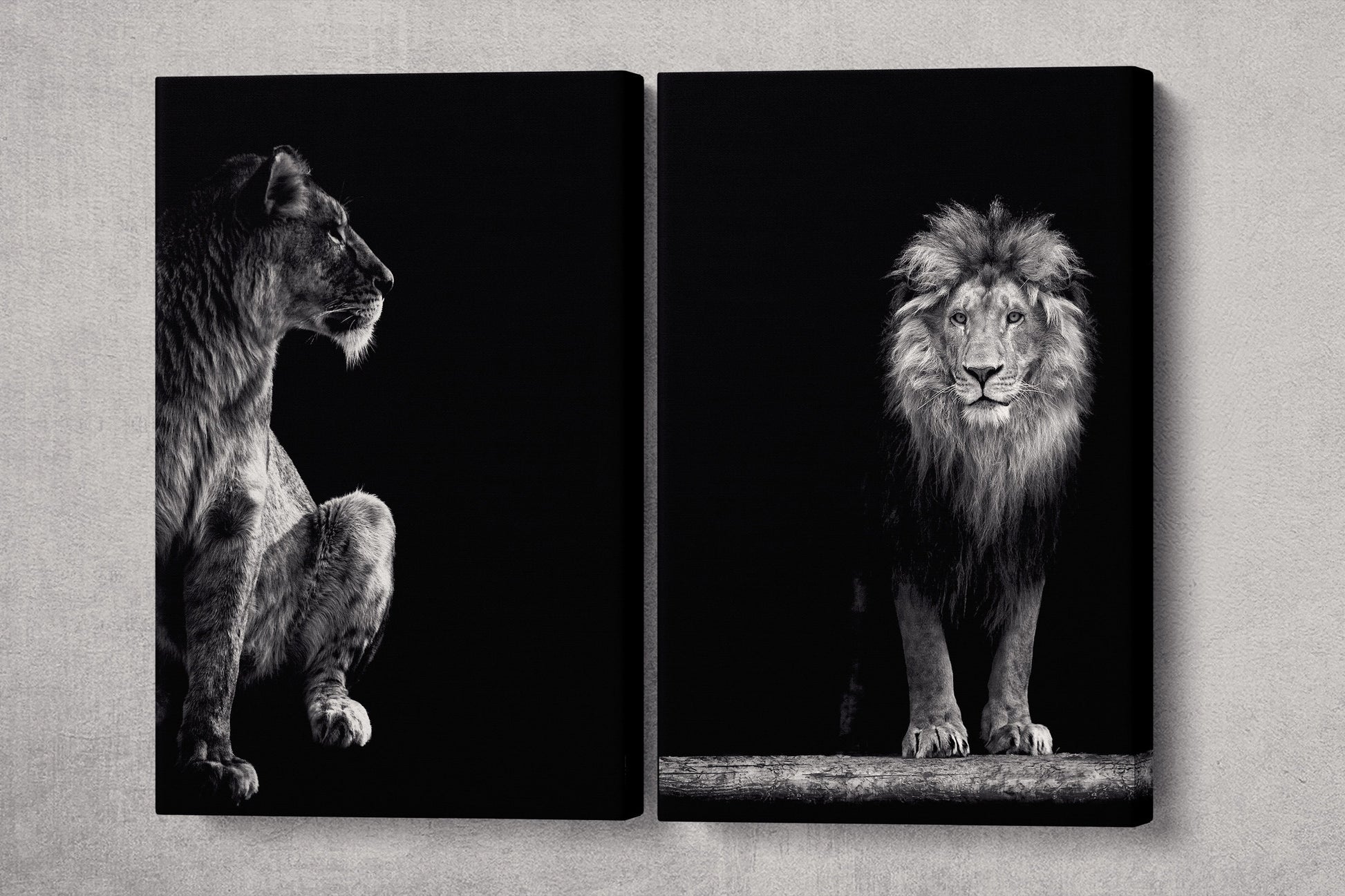 Lion and Lioness Portrait Print