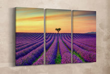 Load image into Gallery viewer, 3 Panel Lavender in Provence, France Framed Canvas Leather Print