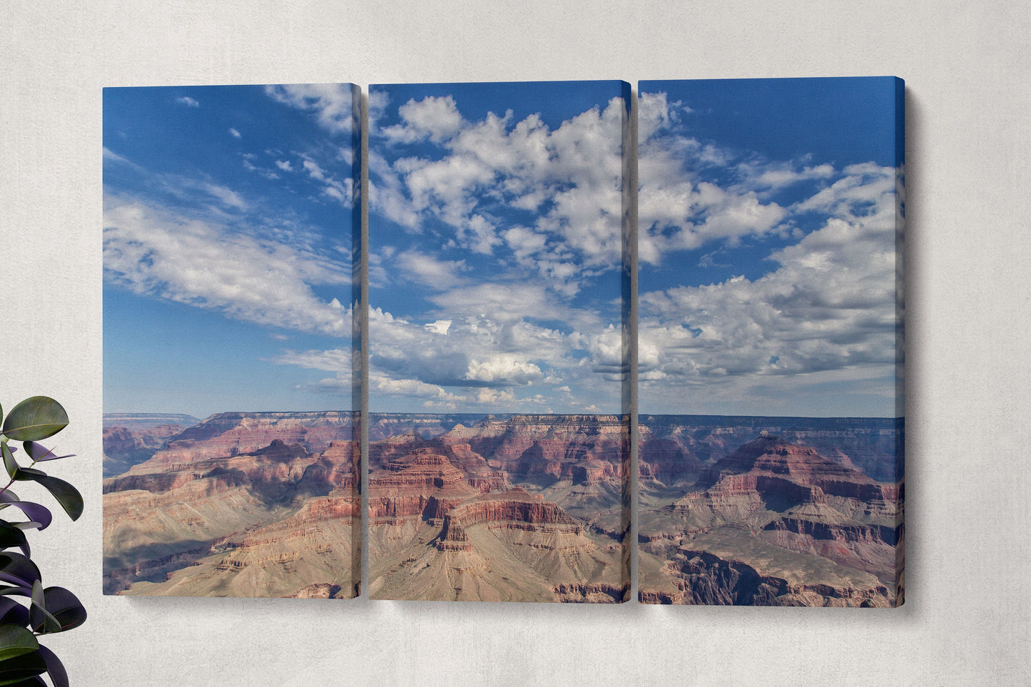 Grand Canyon Framed Canvas Leather Print