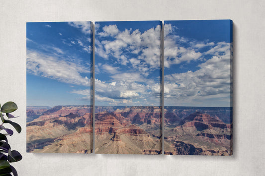 Grand Canyon Framed Canvas Leather Print