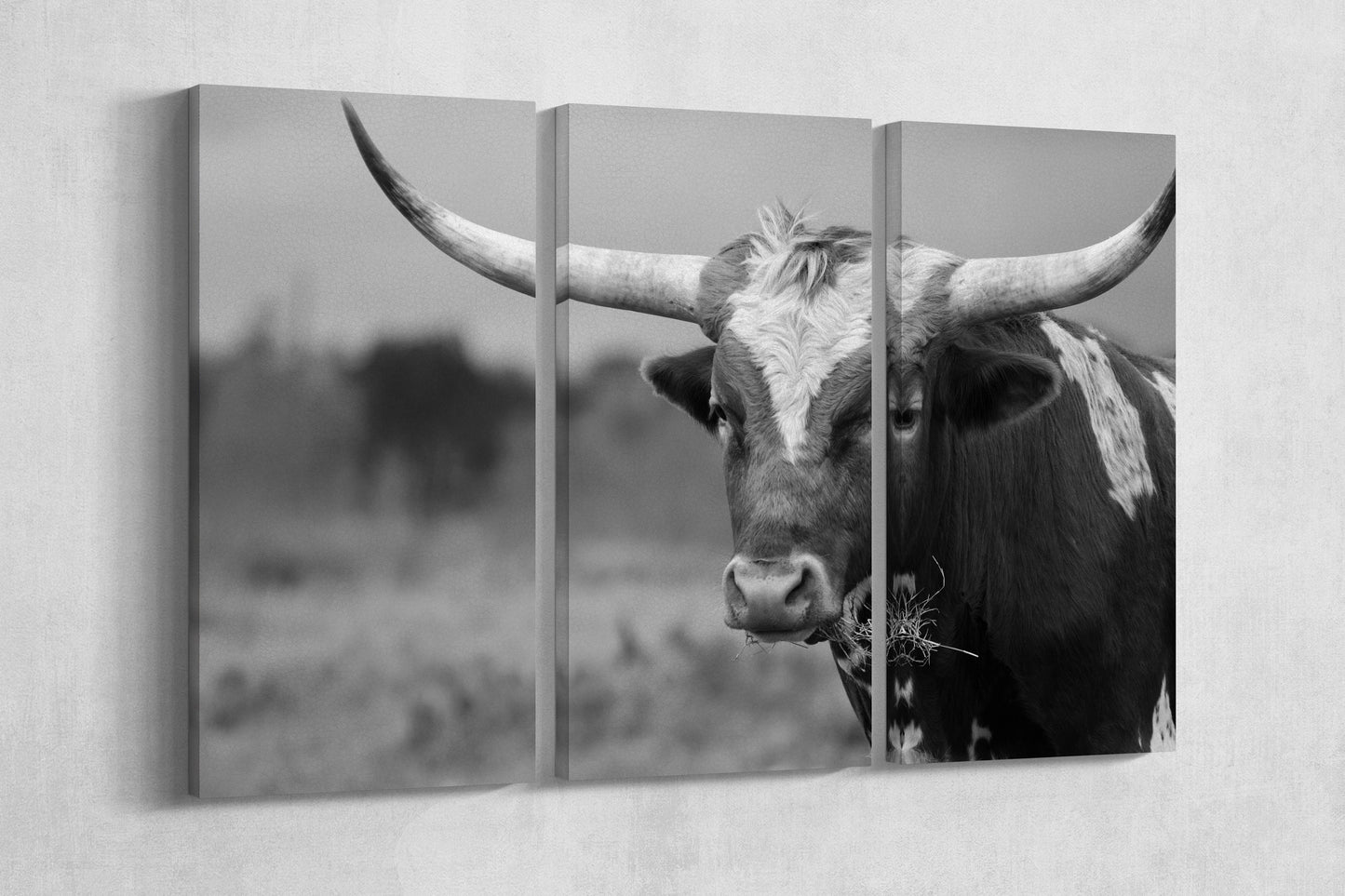 Texas Longhorn Steer Black And White PETA Approved Faux Leather Art