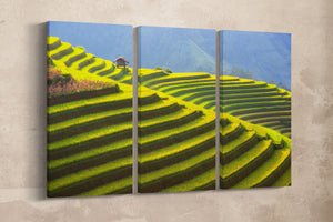 Rice terrace Vietnam wall decor canvas