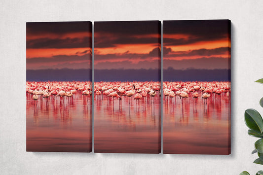 Flamingos at Sunset Framed Canvas Leather Print