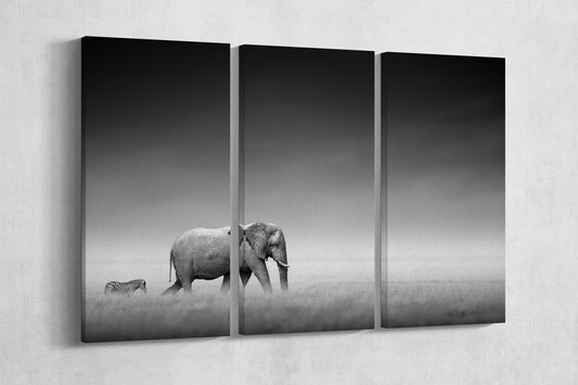 Elephant with zebra in Etosha Africa canvas wall decor