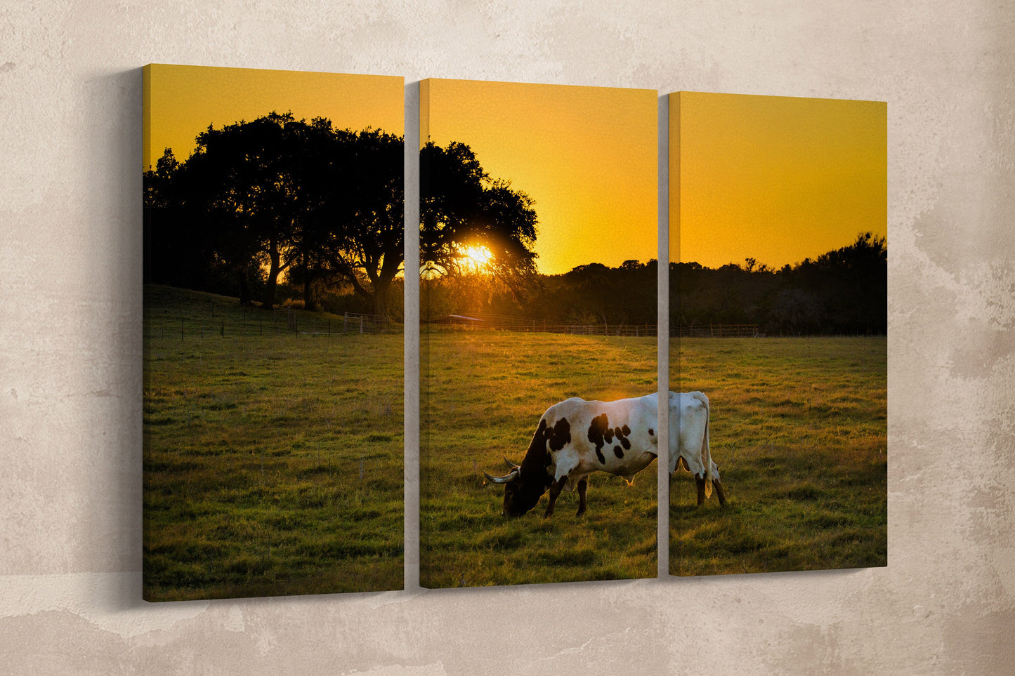 Texas Longhorn Cow wall art