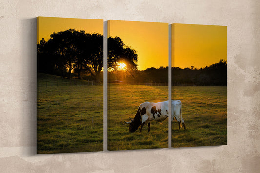 Texas Longhorn Cow wall art