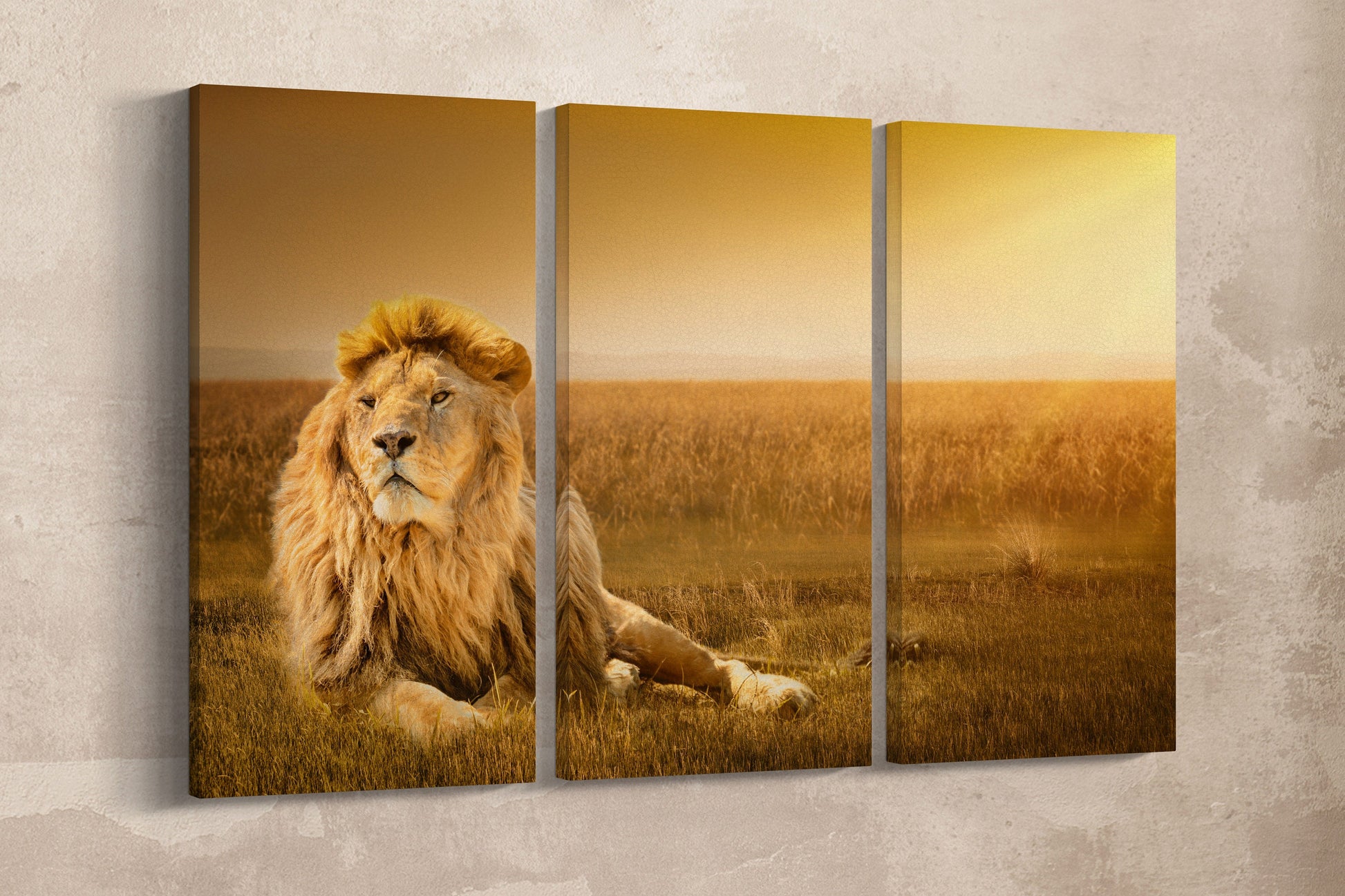 Lion wall art wall decor wall hanging canvas print