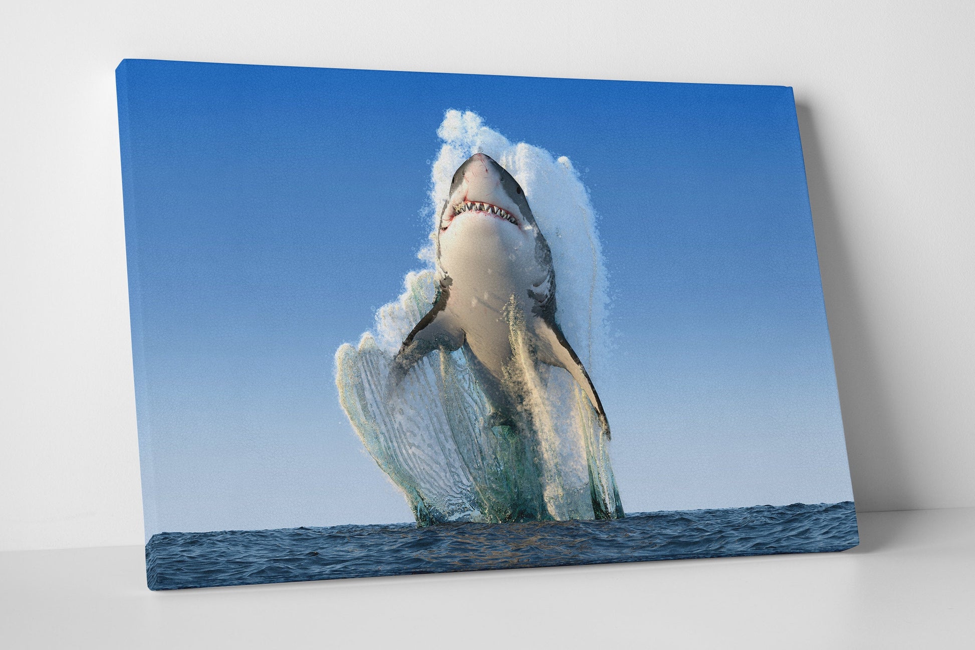 Shark jumping out of the water framed canvas leather print