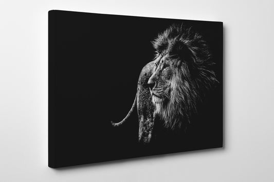 Large Lion Black and White Framed Canvas Leather Print