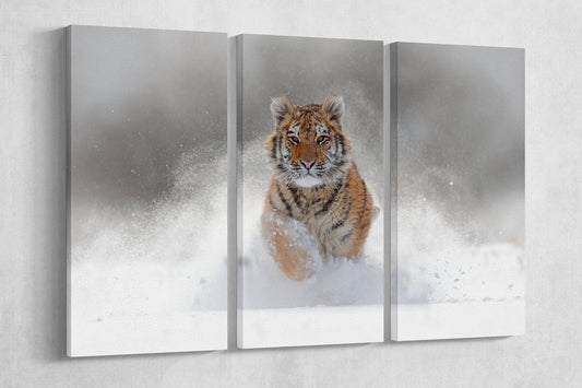 Snow Tiger Majesty PETA Approved Faux Leather Canvas Wall Art