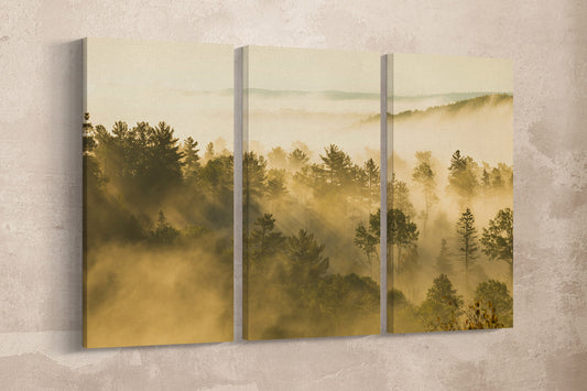Aspen Foggy Landscape Wall Art Vegan Leather Canvas Print Ready to Hang
