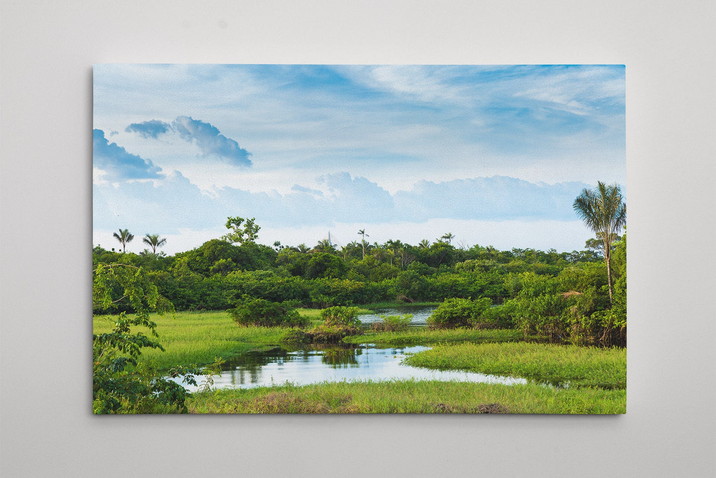 Amazon Wetland Rainforest Nature PETA Approved Eco Leather Multi Panel Wall Art