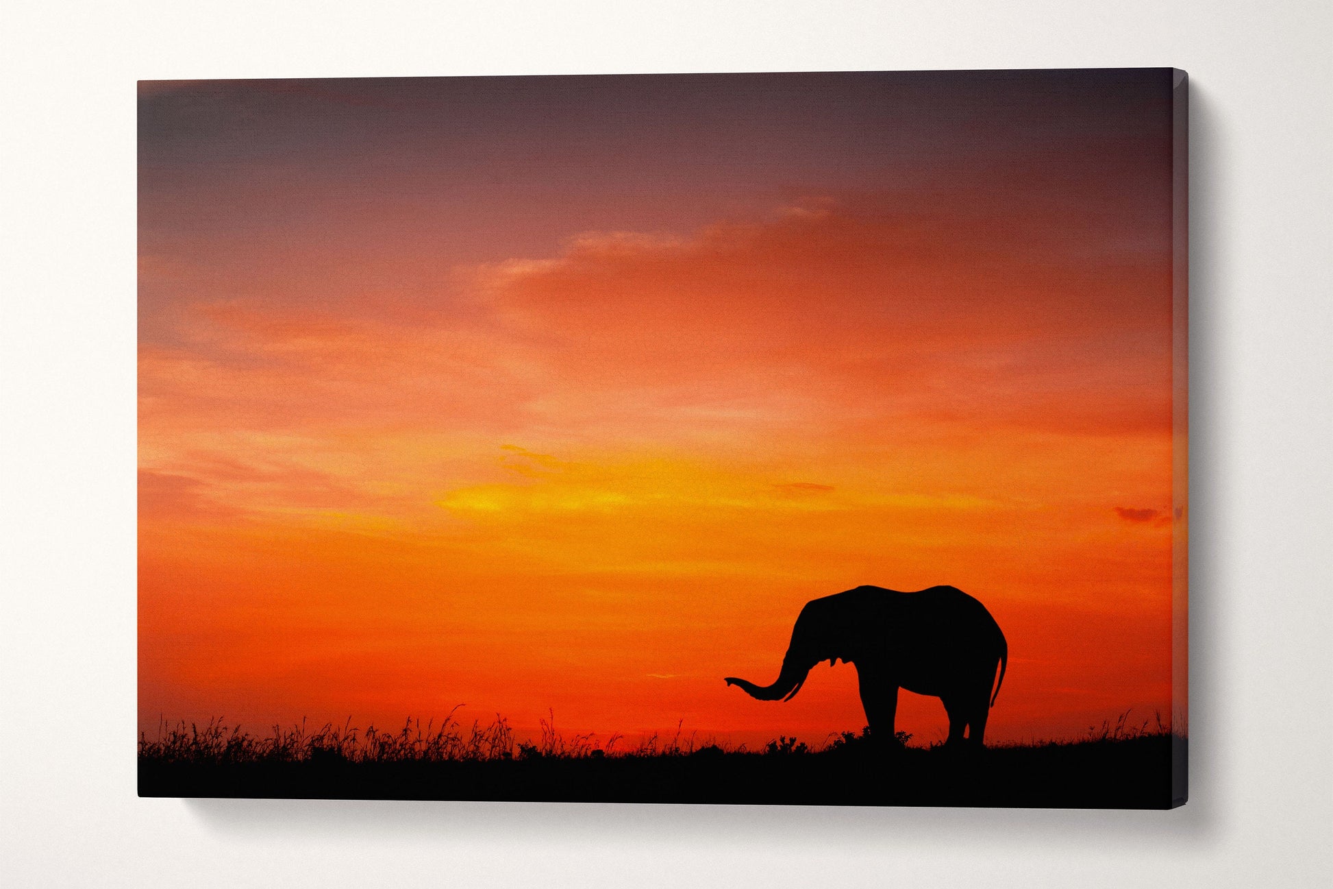 Elephant at Sunset Framed Canvas Leather Print