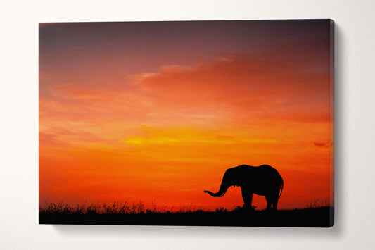 Elephant at Sunset Framed Canvas Leather Print