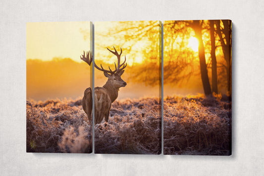 Wild Deer Framed Canvas Leather Print