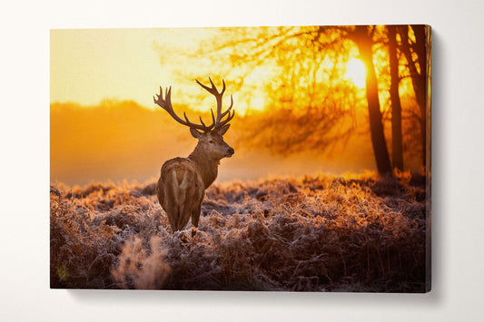Wild Deer Framed Canvas Leather Print