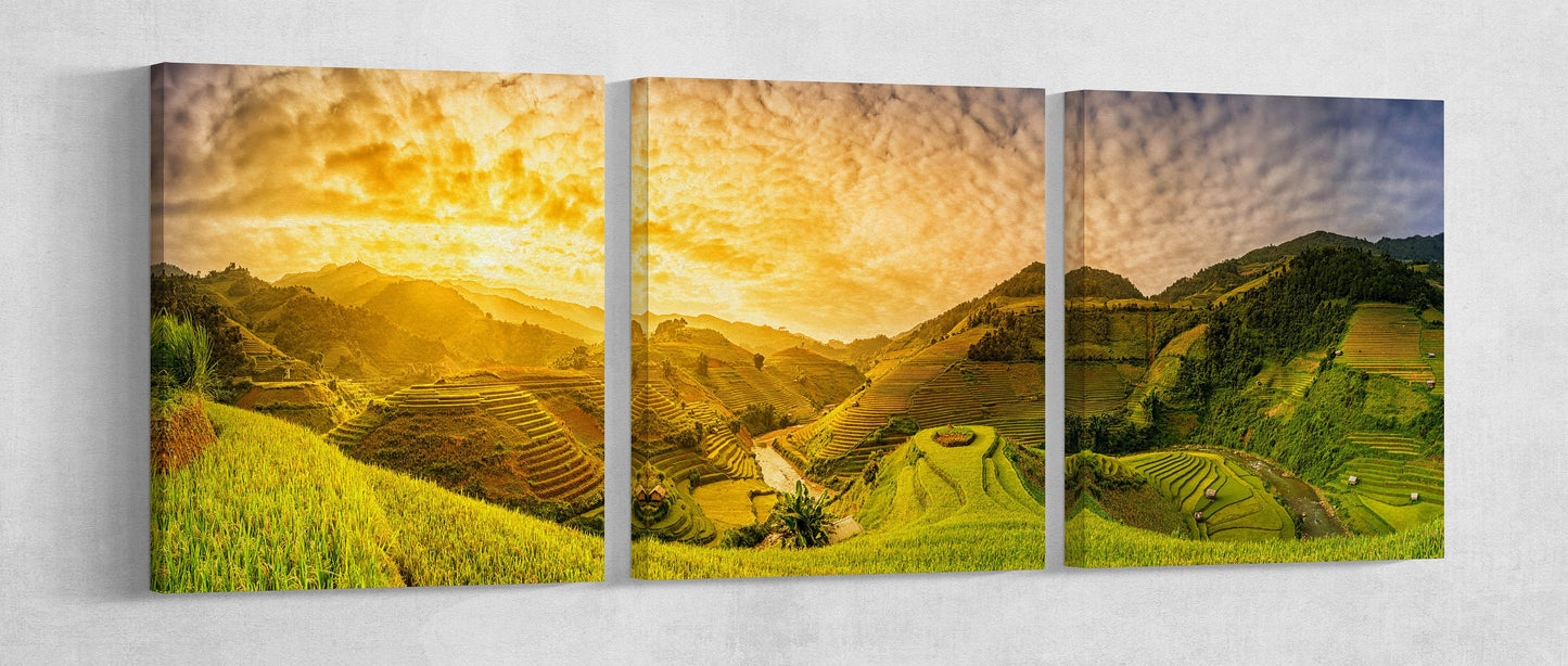 Green Rice Fields Muchangchai, Vietnam Framed Canvas Leather Print