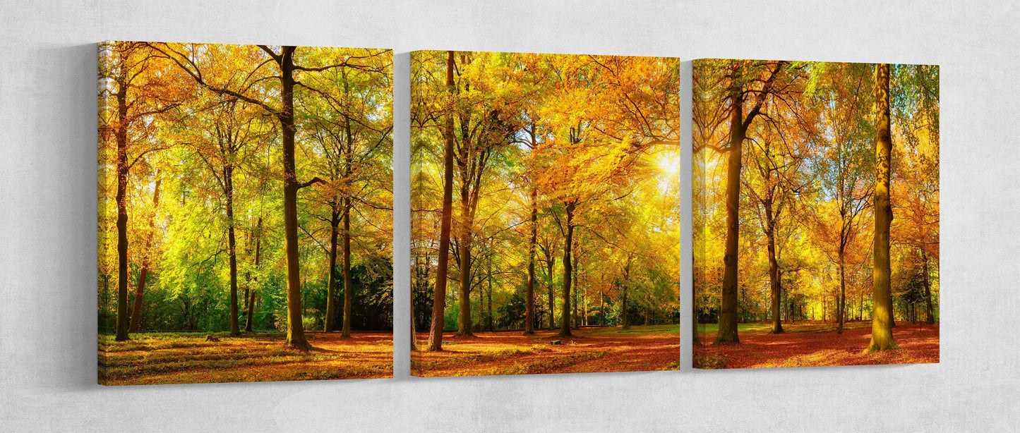 Autumn Forest Framed Canvas Leather Print