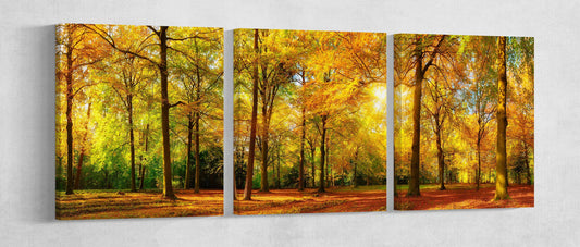 Autumn Forest Framed Canvas Leather Print