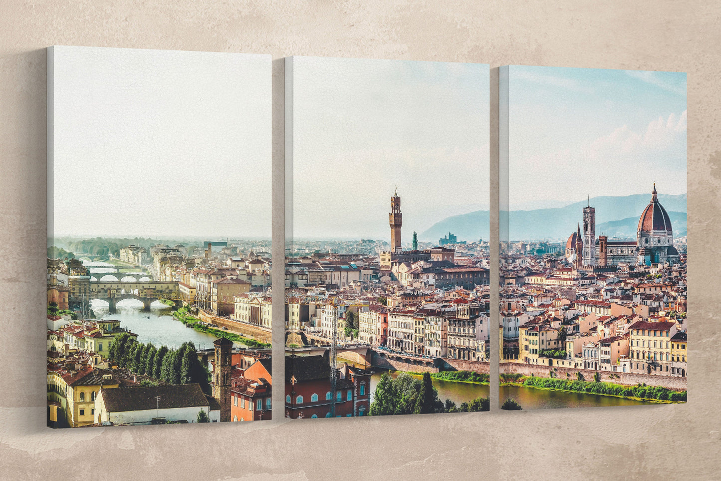 Florence Large Framed Canvas Framed Leather Print