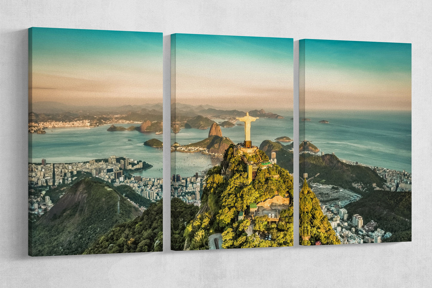 Christ the Redeemer Statue Botafogo Bay Framed Canvas Leather Print