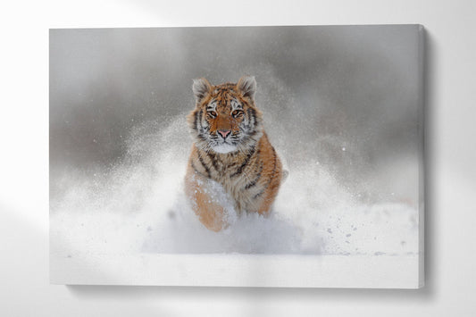 Snow Tiger Majesty PETA Approved Faux Leather Canvas Wall Art
