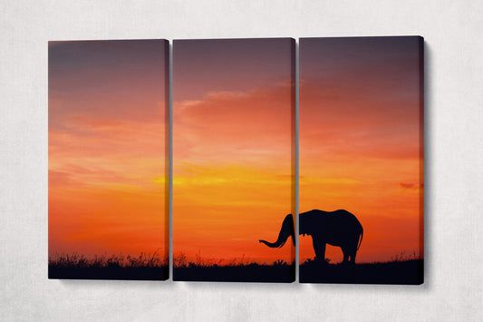Elephant at Sunset Framed Canvas Leather Print