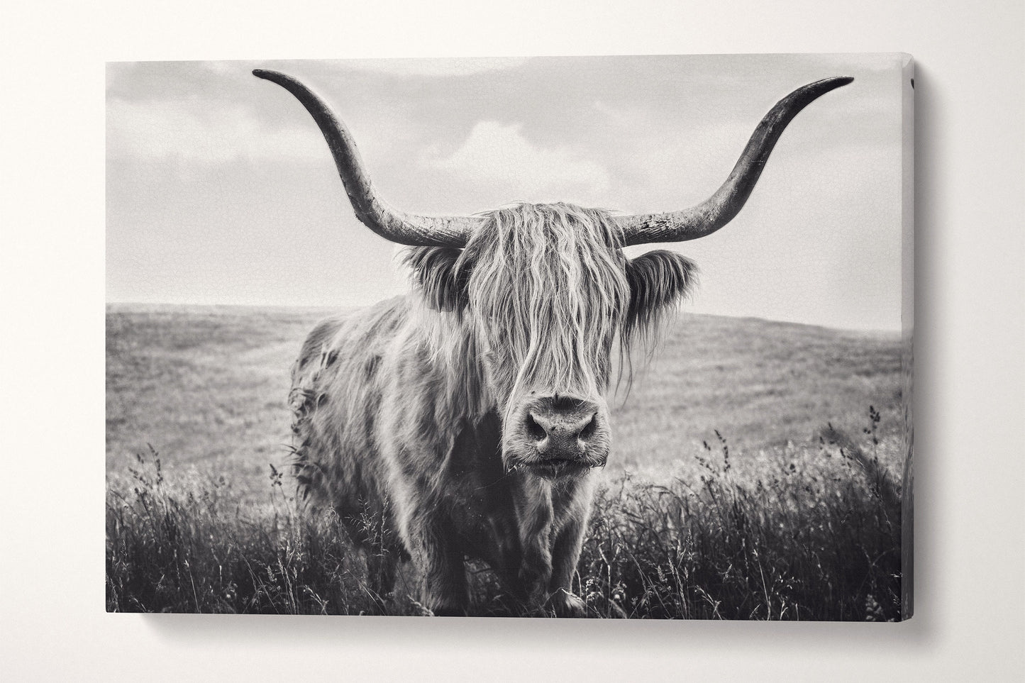 Close Up Brown Highland Cow Framed Canvas Leather Print, Made in Italy!