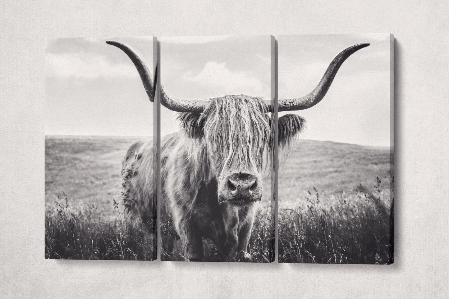 Close Up Brown Highland Cow Framed Canvas Leather Print, Made in Italy!