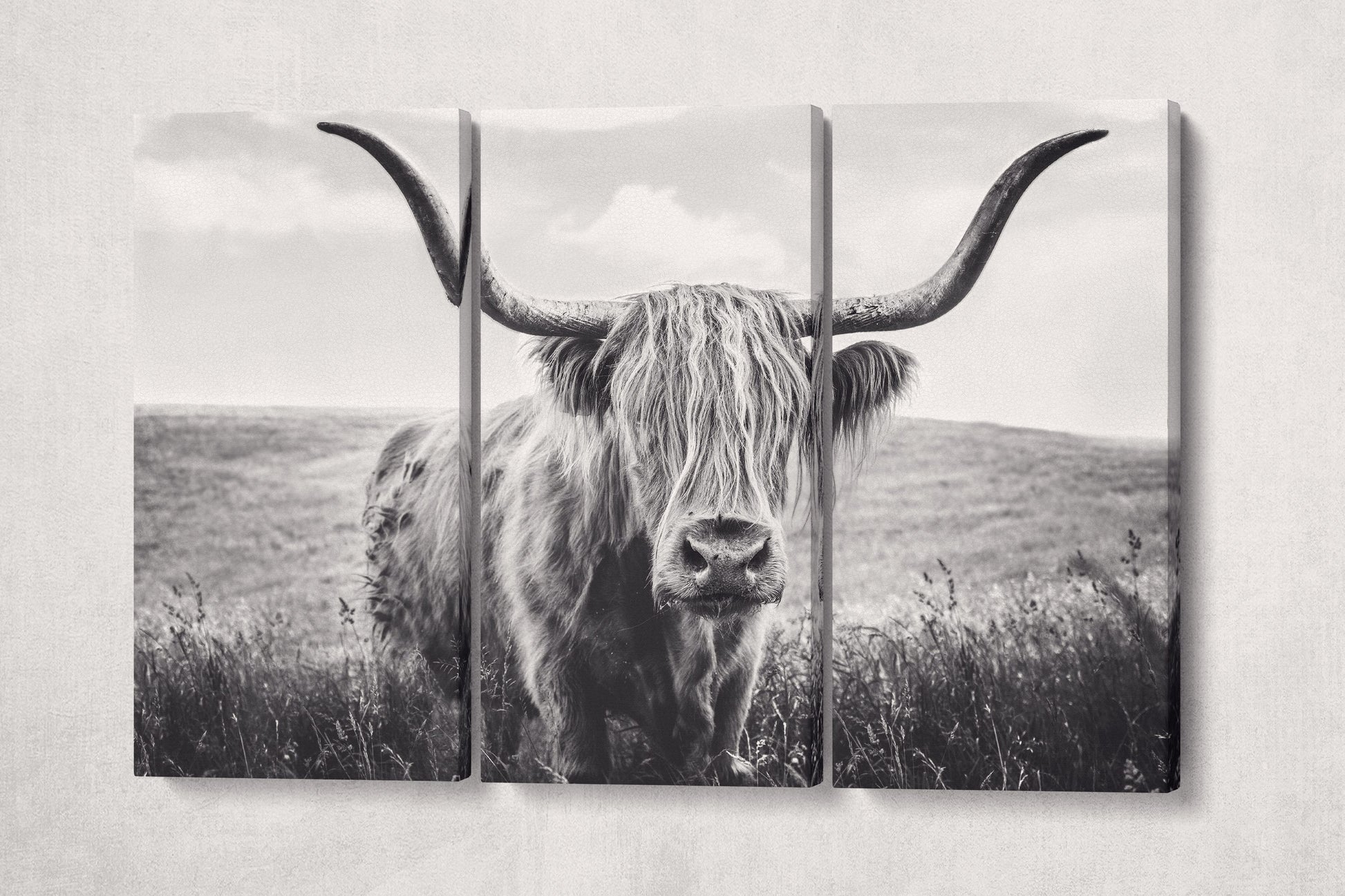 Close Up Brown Highland Cow Framed Canvas Leather Print, Made in Italy!